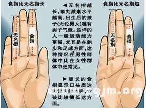 手指长短看命运图片,探寻命运之谜的神奇法则