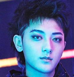 明星洞洞,揭秘娱乐圈的神秘角落