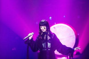 娱乐节目 歌手,音乐梦想的竞技场