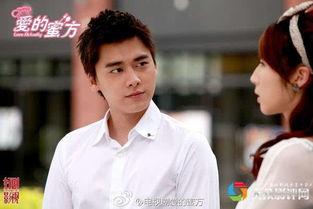 真爱谎言的演员,揭开演员背后的情感纠葛